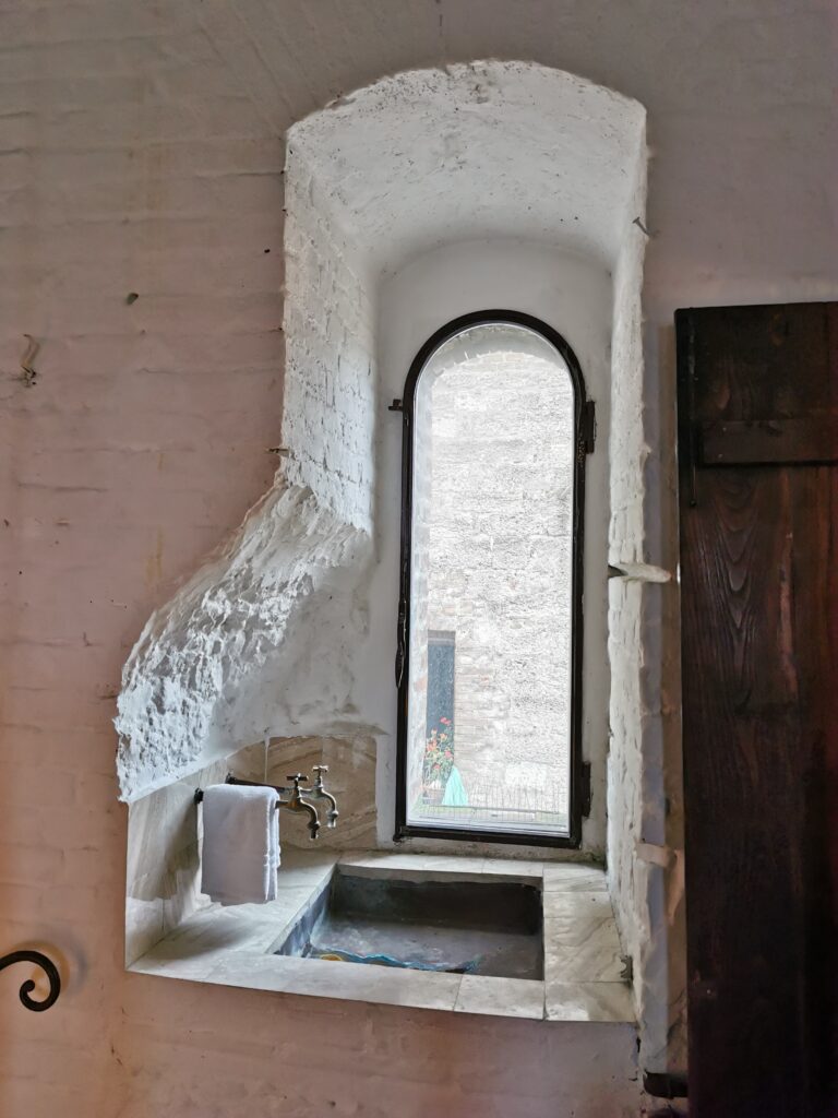 torre arnolfo (9)